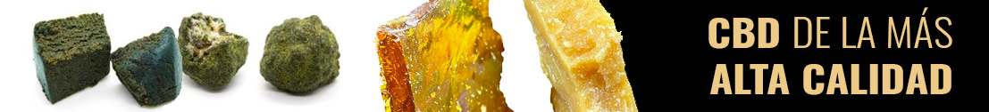 extraccion-cbd