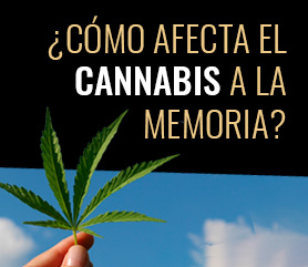 efecto cannabis a la memoria